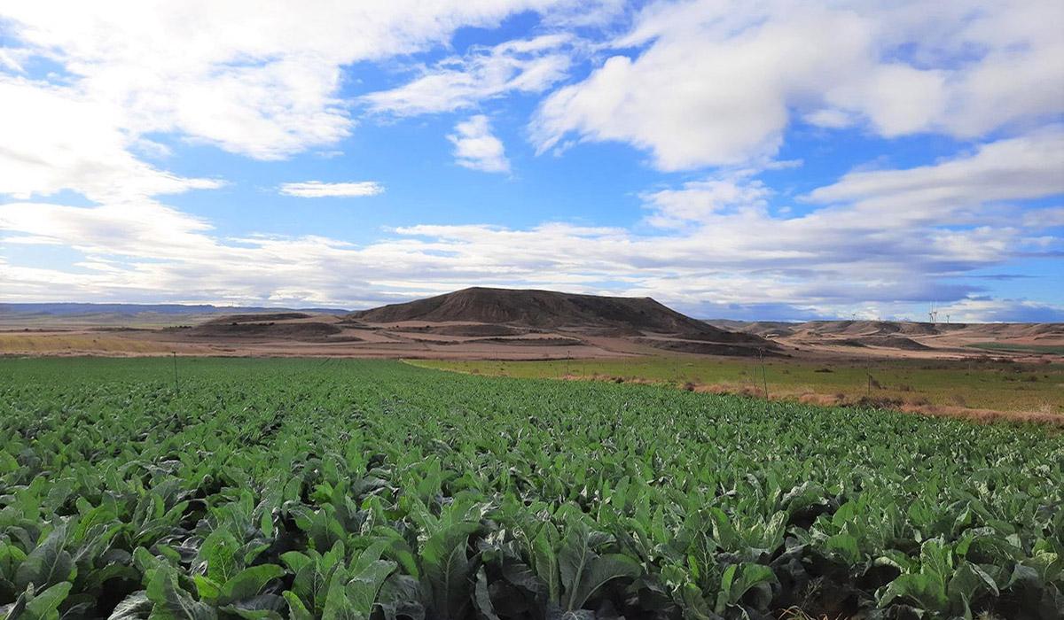 Las Bardenas (Navarra)